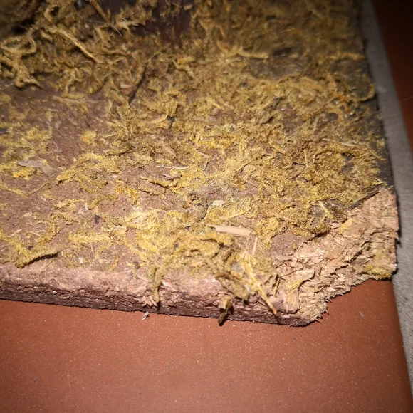 Hand-painted Porcelain Nativity Set - Picture 9 of 12